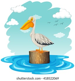 Pelican standing on log illustration