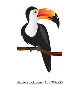 Pelican tropic bird sitting on a bench of tree isolated icon. Vector illustration