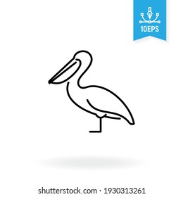 Pelican vector icon. Wild bird  illustration. 