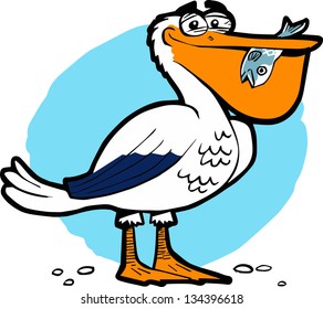 Pelican vector illustration