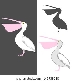 pelican vector Illustration