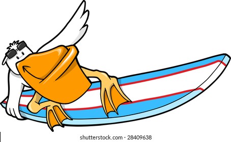 Pelican Vector Illustration
