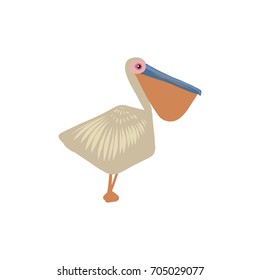 pelican, vector illustration 