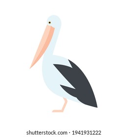 Pelican vector illustration. Flat geometric illustration of water bird - pelican - isolated on white. Minimalism, sea life, nature, marine concepts.