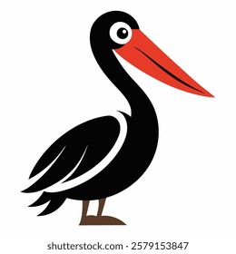 Pelican vector on white background.