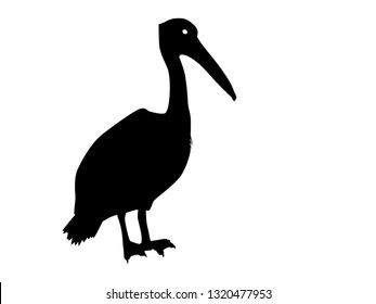 Pelican vector silhouette isolated on white background