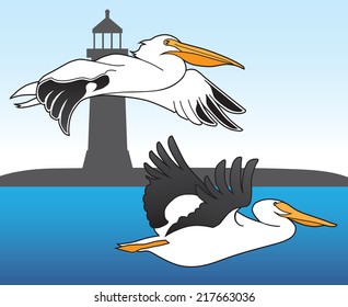 Pelicans