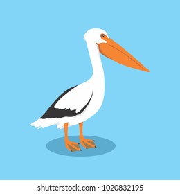 Pelicans Bird Vector Illustration, Pelecanidae