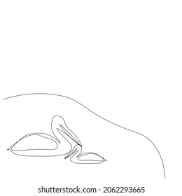 Pelicans birds line drawing vector illustration