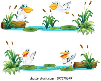 Pelicans flying over the pond illustration