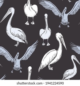 Pelicans  on grey background. Vector seamless pattern