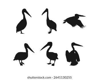 Pelicans silhouette icon. Animal icon. Silhouette Images of Pelicans in Various Poses. vector isolated on a white background.