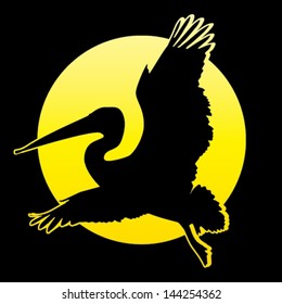 Pelicans silhouette on moonlit