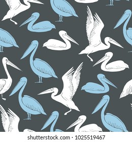 Pelicans.Vector seamless pattern