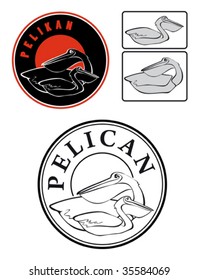 pelicanus set with outlined stylized birds, inside circle