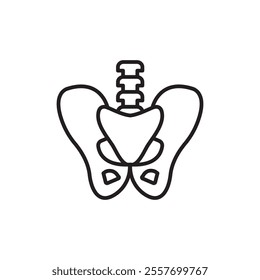 Pelvic area icon Thin line art collection