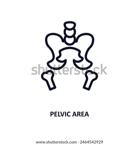 pelvic area icon. Thin line pelvic area icon from medical and healthcare collection. Outline vector isolated on white background. Editable pelvic area symbol can be used web and mobile
