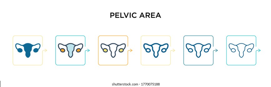 Pelvic area vector icon in 6 different modern styles. Black, two colored pelvic area icons designed in filled, outline, line and stroke style. Vector illustration can be used for web, mobile, ui