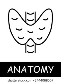 Pelvic bone line icon. Spine, calcium, skeleton, anatomy, medicine, training, doctor, nurse, human, body, physiology. Vector line icon for business and advertising