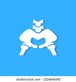 pelvic bone on blue background