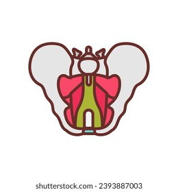 Icono de Diafragma pélvico en vector. Logotipo