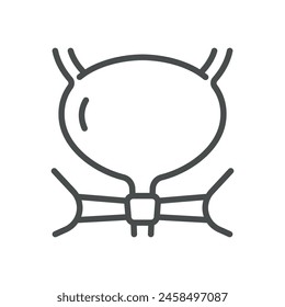 Pelvic Floor Muscles and Bladder Icon. Line Vector Illustration of Pelvic Muscles and Bladder, Symbolizing Urological and Pelvic Health. Isolated Outline Sign.