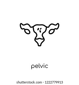 pelvic inflammatory disease icon. Trendy modern flat linear vector pelvic inflammatory disease icon on white background from thin line Diseases collection, outline vector illustration