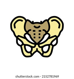 pelvis bone color icon vector. pelvis bone sign. isolated symbol illustration