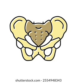 pelvis bone color icon vector. pelvis bone sign. isolated symbol illustration