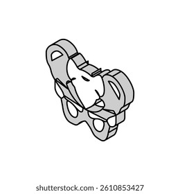 pelvis bone isometric icon vector. pelvis bone sign. isolated symbol illustration