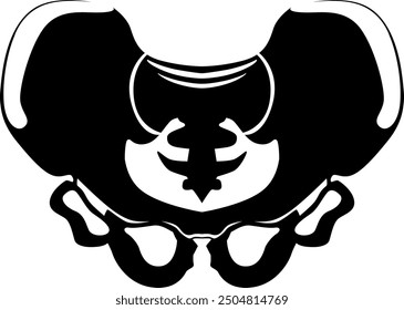 Pelvis bone structure. Human skeletal joint black silhouette