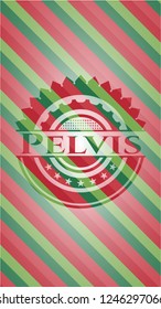 Pelvis christmas emblem.