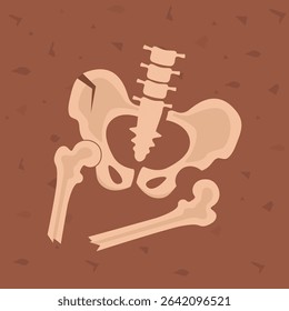 Pelvis human bones. Archaeological find. Historical value. Image for books, articles, posters, archeology, history of past excavations presentations