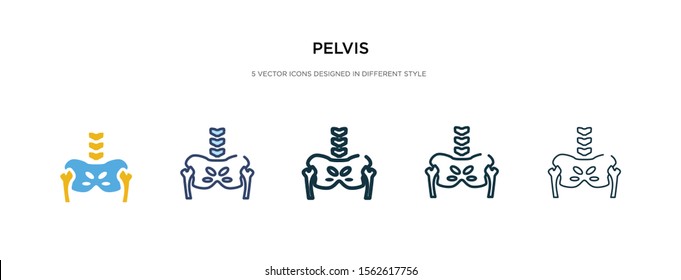 pelvis icon in different style vector illustration. two colored and black pelvis vector icons designed in filled, outline, line and stroke style can be used for web, mobile, ui