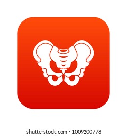 Pelvis icon digital red for any design isolated on white vector illustration