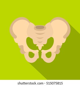 Pelvis icon. Flat illustration of pelvis vector icon for web