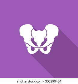 Icono de Pelvis. Icono plano relacionado con vectores con gran sombra para aplicaciones web y móviles. Se puede utilizar como - logo, pictograma, icono, elemento infográfico. Ilustración vectorial.
