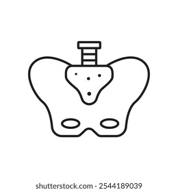 Pelvis icon. isolated vector icon.
