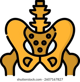 Pelvis Icon Lineal Color Vector Illustration