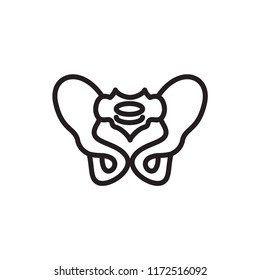  Pelvis Icon Outline Vector