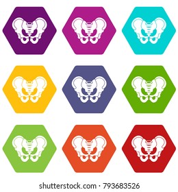 Pelvis icon set many color hexahedron isolated on white vector illustration