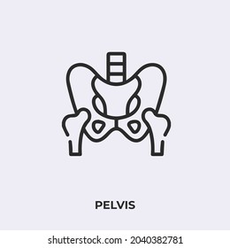 pelvis icon vector. Linear style sign for mobile concept and web design. pelvis symbol illustration. Pixel vector graphics - Vector.