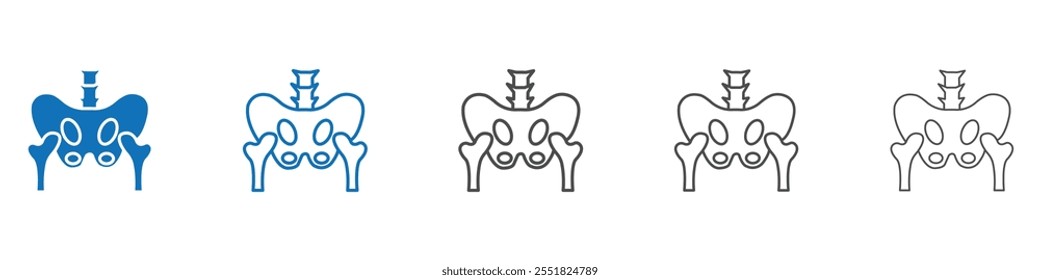 Pelvis icono Vector conjunto colección para el Web
