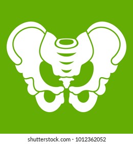 Pelvis icon white isolated on green background. Vector illustration