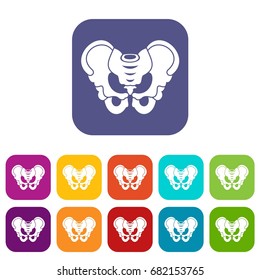 Pelvis icons set vector illustration in flat style in colors red, blue, green, and other