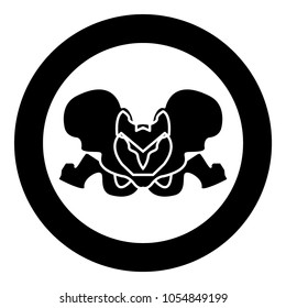Pelvis skeleton black icon in circle .