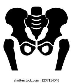 Pelvis skeleton solid icon design