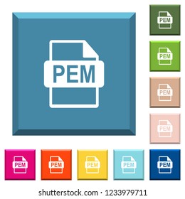 PEM file format white icons on edged square buttons in various trendy colors
