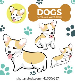 Pembroke Welsh Corgi