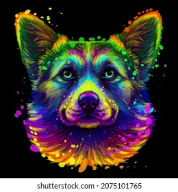 Pembroke Welsh Corgi.  Abstract, neon portrait of a dog's head in the style of pop art on a black background. Digital vector graphics